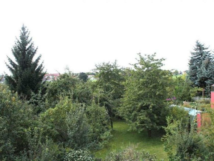 Exklusive Ferienwohnung An Der Elbe Dresde Exterior foto